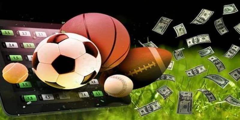 Nhà Cái Thể Thao Giới Thiệu Về Nhà Cái Thể Thao